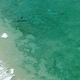 (US Coast Guard Air Station Traverse City)
